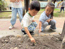 C:/Users/Administrator/Desktop/图片2.png图片2